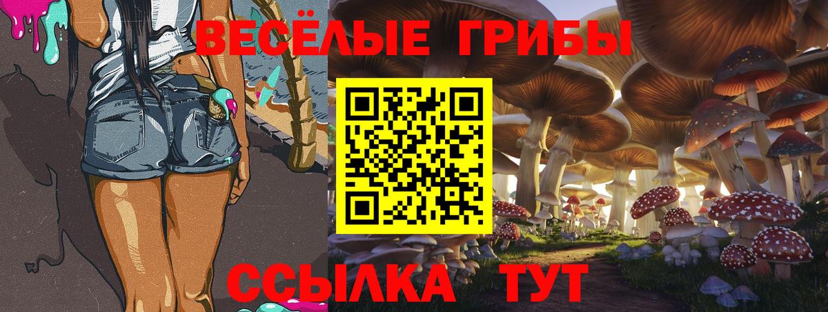 Псилоцибиновые грибы мицелий  Зеленокумск  Псилоцибиновые грибы прущие грибы 